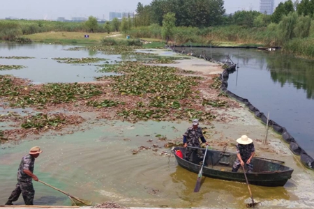 pc电子麻将胡了-(中国游)有限公司