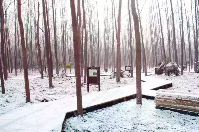 pc电子麻将胡了-(中国游)有限公司