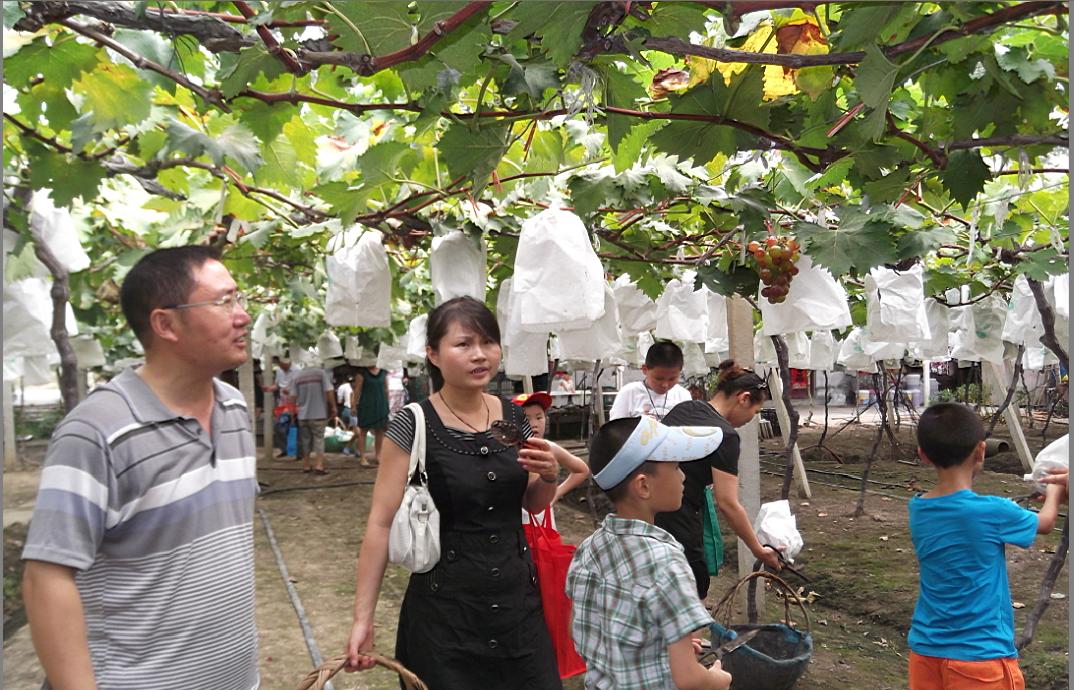 pc电子麻将胡了-(中国游)有限公司