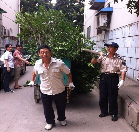 pc电子麻将胡了-(中国游)有限公司