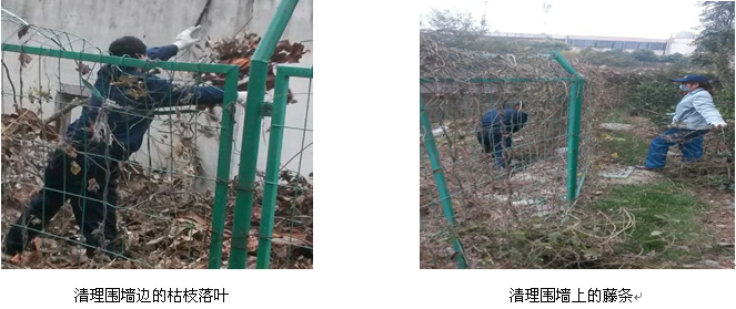 pc电子麻将胡了-(中国游)有限公司