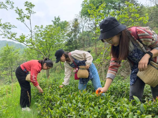 pc电子麻将胡了-(中国游)有限公司