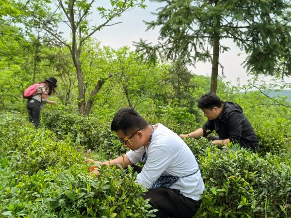 pc电子麻将胡了-(中国游)有限公司